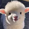 terry schmerko - @terry.schmerko - TikTok