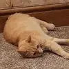 Terri Rushton - @terri.rushton - TikTok