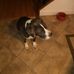Theresa Rusk - Facebook