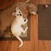 Theresa Rusk - Facebook