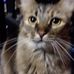 Terry Ryals - Facebook