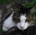 Terry Ryals - Facebook