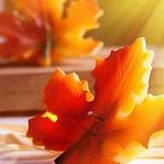 Terry Sage - @teriyakisage7 - Instagram