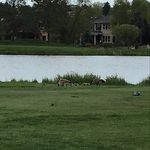 Terry Salazar - @terry.salazar.5 - Instagram