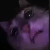 uwu - @xxtsalemxxterry_1305 - TikTok