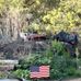 Terry Saling - Facebook
