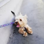 @terry_salmis - Instagram