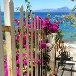 Terry Salmon - @terrysalmon3 - Instagram