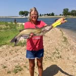 Terri Saltzman - @saltzmanterri3 - Instagram