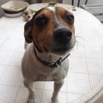 Terry - @terry_sandoval_mkda - Instagram