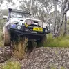Terry Sands - @one4aus - TikTok