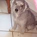 Terry Sandt - Facebook