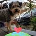 Terry Satchell - Facebook
