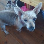 Terry Rae Schaffer - @terryschaffer104 - Instagram