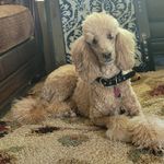 Terry Schaffer - @schaffer6452 - Instagram