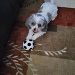Terry Schaffer - @schaffer9784 - Instagram