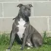 Terry Schamp - @terry.schamp - TikTok