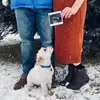 Terri Scheidt - @user958493135 - TikTok