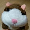 Terry Schell - @terryschell_5362 - TikTok