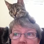 Terry Schell - @terry.schell - Instagram