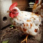 Terry Schild - @terryschild - Instagram