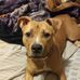 Terry Schildt - Facebook
