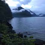 Terry Schiller - @terryschiller3 - Instagram