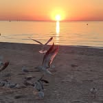 Terry Schober - @tt33rryy - Instagram