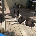 Terry Schofield - @doyle713 - Instagram