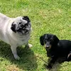 nanna banana - @terri.scholes - TikTok