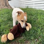 Terry Schreck - @tschreck - Instagram