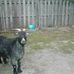 Terry Schuh - Facebook