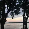 Terry Schultz - @terryschultz - TikTok