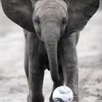 Terry Schulz - @stimpy4now - Instagram