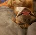 Terry Schutt - Facebook