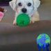 Terry Schutt - Facebook