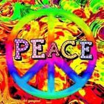 Terry Schutterle - @terryschutterle - Instagram