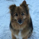 Terry Schuttler - @terryschuttler - Instagram