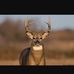 Terry Schutz - Facebook