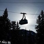 Terry Schwartz - @lumn8.ts - Instagram