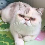 Terry See - @terry.see.2 - Instagram