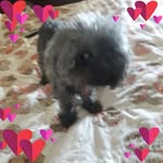 Terry Sell - @terry.sell.3386 - Instagram