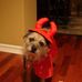 Terry Sell - Facebook
