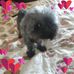 Terry Sell - Facebook
