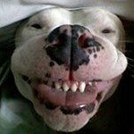 Terry Shaver - @terry.shaver - Instagram