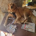 Terry Shipley - @terry.shipley.35 - Instagram