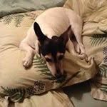 Donna Terry Shoemaker - @donnaterryshoemaker - Instagram
