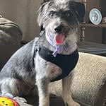 Terry Shoemaker - @shoemaker8143 - Instagram