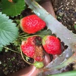 Terry Shoemaker - @terry.shoemaker.3576 - Instagram