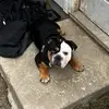 Terry Shows - @terryshows - TikTok